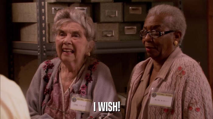 I WISH!  