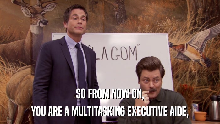 SO FROM NOW ON, YOU ARE A MULTITASKING EXECUTIVE AIDE, 