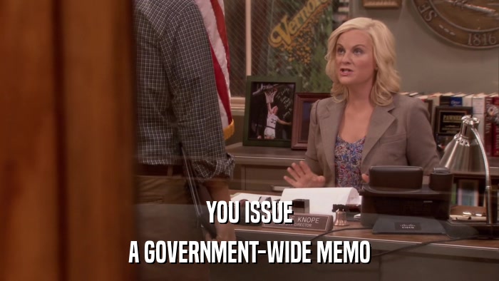 YOU ISSUE A GOVERNMENT-WIDE MEMO 