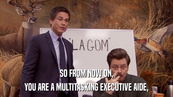 SO FROM NOW ON, YOU ARE A MULTITASKING EXECUTIVE AIDE, 