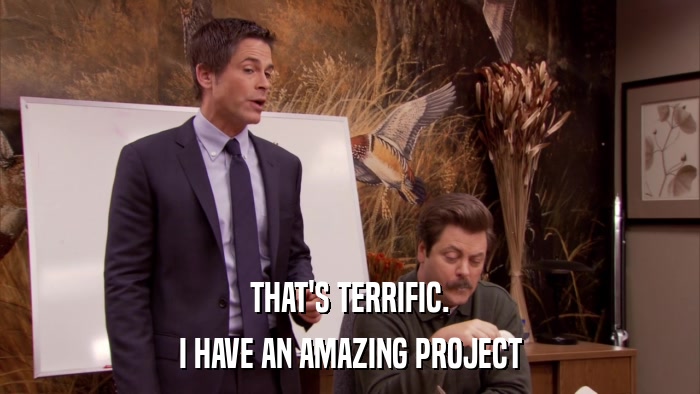 THAT'S TERRIFIC. I HAVE AN AMAZING PROJECT 