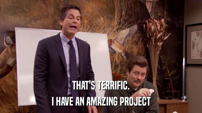 THAT'S TERRIFIC. I HAVE AN AMAZING PROJECT 