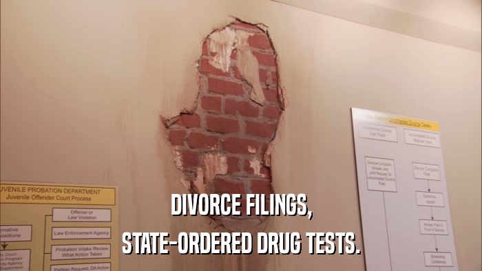 DIVORCE FILINGS, STATE-ORDERED DRUG TESTS. 