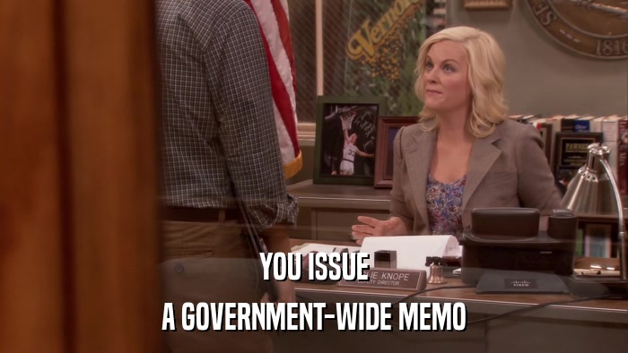 YOU ISSUE A GOVERNMENT-WIDE MEMO 
