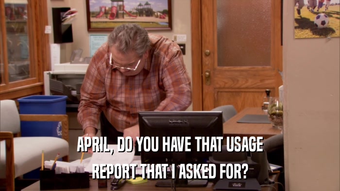 APRIL, DO YOU HAVE THAT USAGE REPORT THAT I ASKED FOR? 