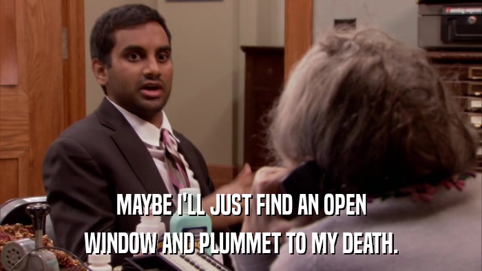 MAYBE I'LL JUST FIND AN OPEN WINDOW AND PLUMMET TO MY DEATH. 