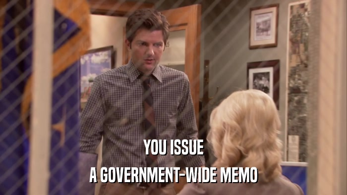 YOU ISSUE A GOVERNMENT-WIDE MEMO 