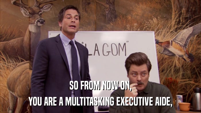 SO FROM NOW ON, YOU ARE A MULTITASKING EXECUTIVE AIDE, 