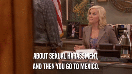 ABOUT SEXUAL HARASSMENT, AND THEN YOU GO TO MEXICO. 