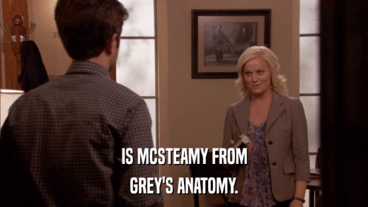 IS MCSTEAMY FROM GREY'S ANATOMY. 