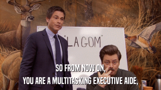 SO FROM NOW ON, YOU ARE A MULTITASKING EXECUTIVE AIDE, 