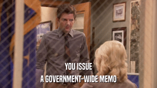 YOU ISSUE A GOVERNMENT-WIDE MEMO 
