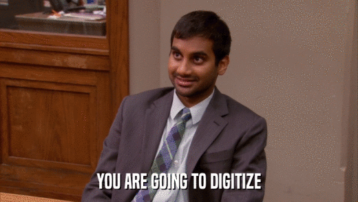 YOU ARE GOING TO DIGITIZE  