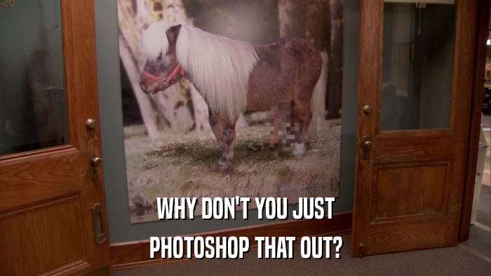WHY DON'T YOU JUST PHOTOSHOP THAT OUT? 