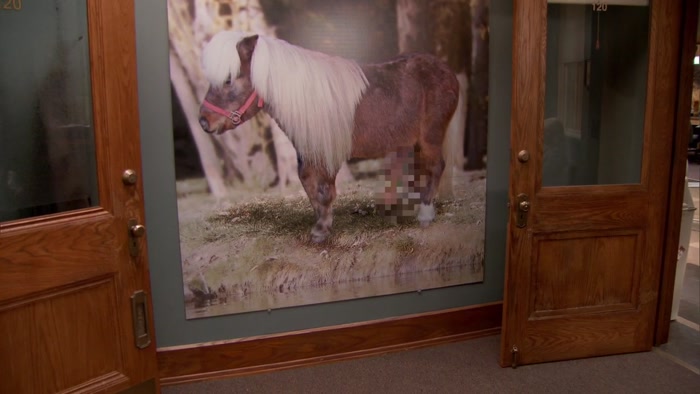 WHY DON'T YOU JUST PHOTOSHOP THAT OUT? 