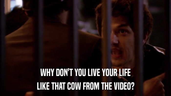 WHY DON'T YOU LIVE YOUR LIFE LIKE THAT COW FROM THE VIDEO? 