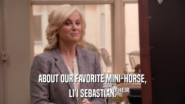 ABOUT OUR FAVORITE MINI-HORSE, LI'I SEBASTIAN. 