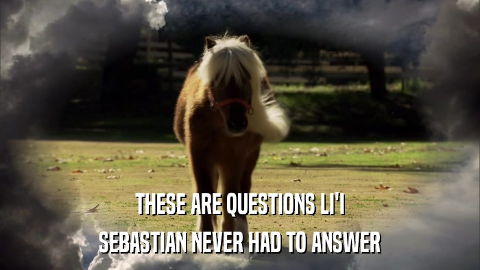 THESE ARE QUESTIONS LI'I SEBASTIAN NEVER HAD TO ANSWER 