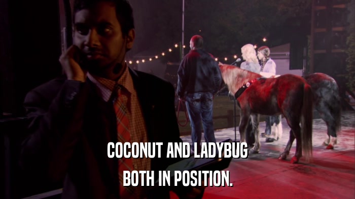COCONUT AND LADYBUG BOTH IN POSITION. 