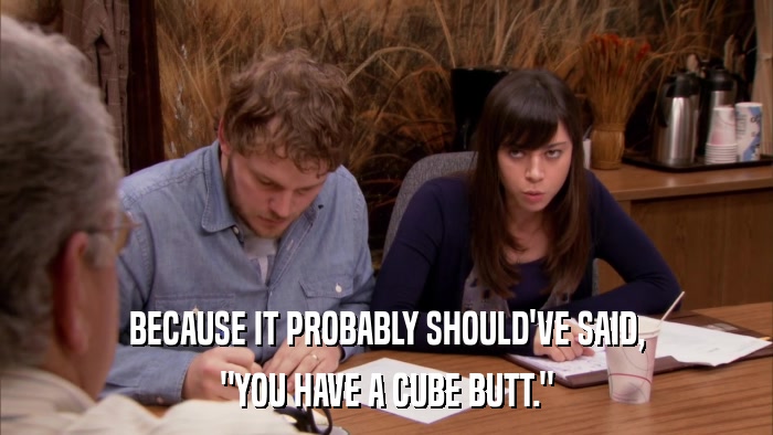 BECAUSE IT PROBABLY SHOULD'VE SAID, 