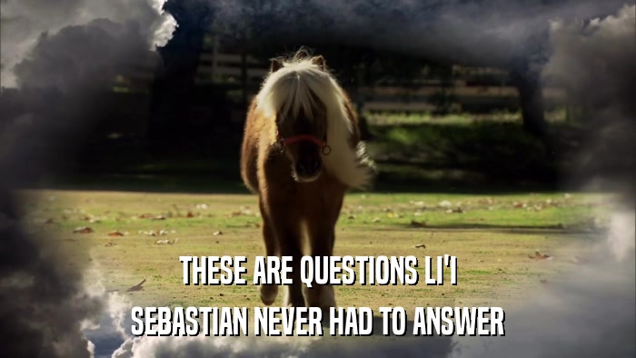 THESE ARE QUESTIONS LI'I SEBASTIAN NEVER HAD TO ANSWER 