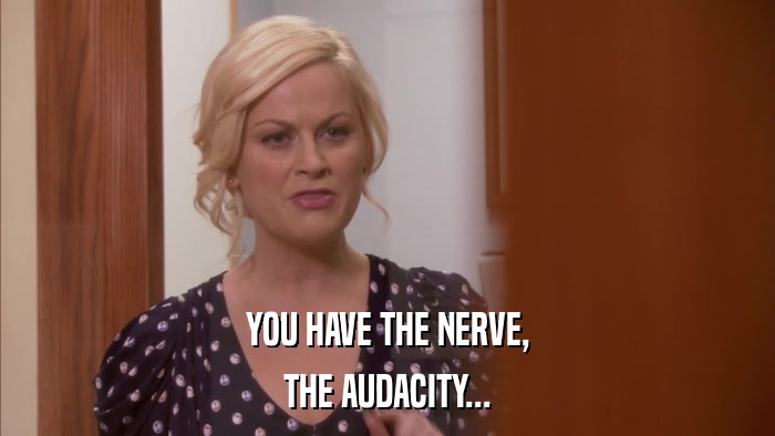 YOU HAVE THE NERVE, THE AUDACITY... 
