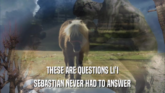 THESE ARE QUESTIONS LI'I SEBASTIAN NEVER HAD TO ANSWER 