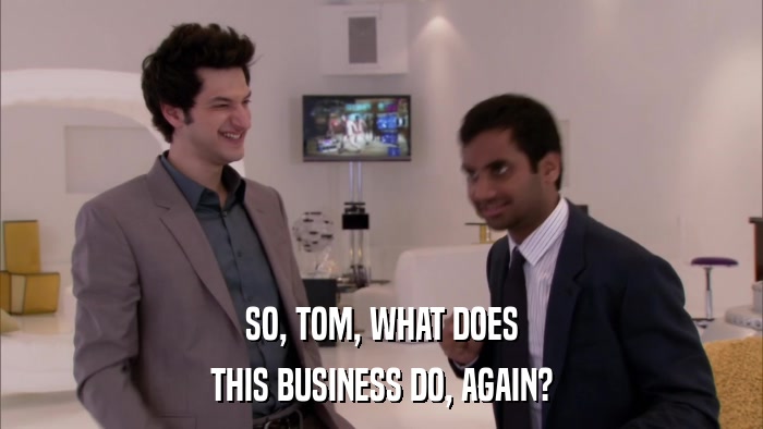 SO, TOM, WHAT DOES THIS BUSINESS DO, AGAIN? 