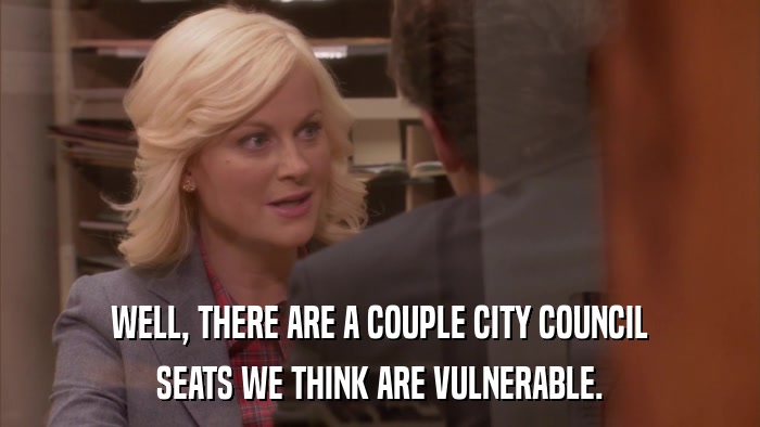 WELL, THERE ARE A COUPLE CITY COUNCIL SEATS WE THINK ARE VULNERABLE. 