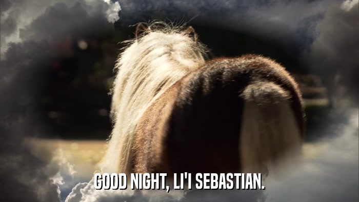 GOOD NIGHT, LI'I SEBASTIAN.  
