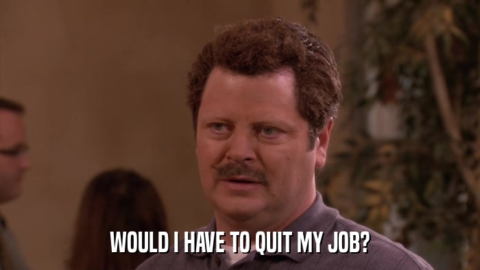 WOULD I HAVE TO QUIT MY JOB?  