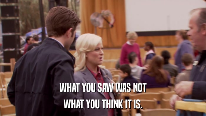 WHAT YOU SAW WAS NOT WHAT YOU THINK IT IS. 