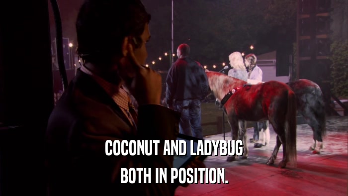 COCONUT AND LADYBUG BOTH IN POSITION. 
