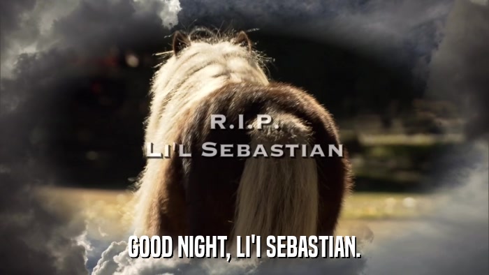 GOOD NIGHT, LI'I SEBASTIAN.  