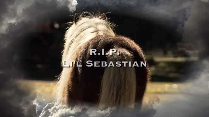 GOOD NIGHT, LI'I SEBASTIAN.  