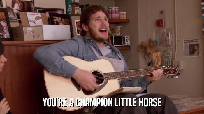YOU'RE A CHAMPION LITTLE HORSE  