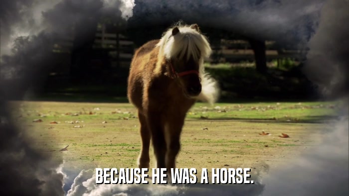 BECAUSE HE WAS A HORSE.  