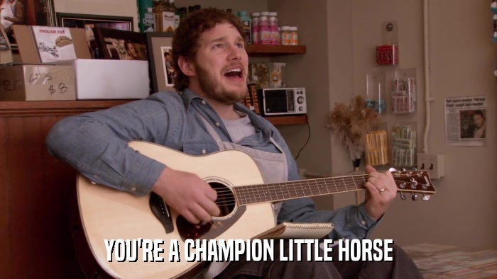 YOU'RE A CHAMPION LITTLE HORSE  