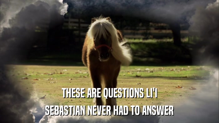 THESE ARE QUESTIONS LI'I SEBASTIAN NEVER HAD TO ANSWER 