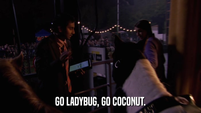 GO LADYBUG, GO COCONUT.  