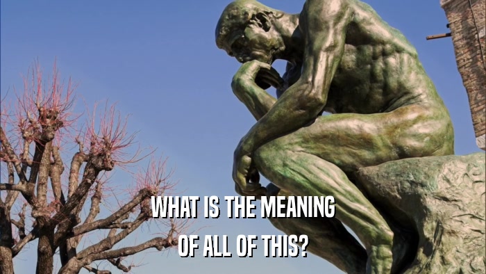 WHAT IS THE MEANING OF ALL OF THIS? 