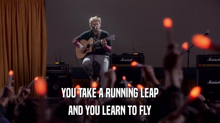 YOU TAKE A RUNNING LEAP AND YOU LEARN TO FLY 