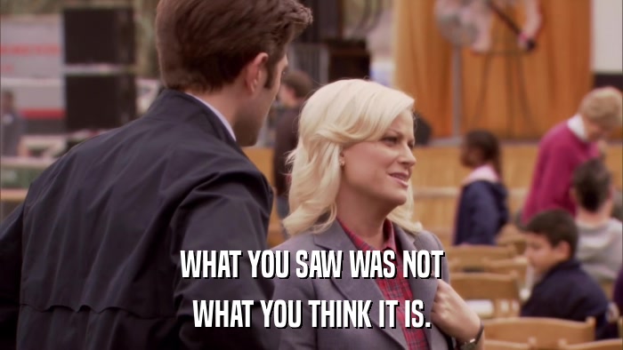 WHAT YOU SAW WAS NOT WHAT YOU THINK IT IS. 