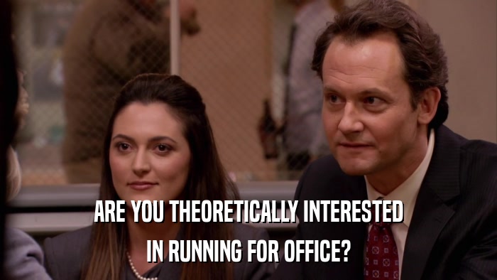 ARE YOU THEORETICALLY INTERESTED IN RUNNING FOR OFFICE? 