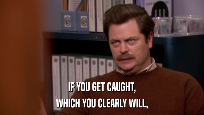 IF YOU GET CAUGHT, WHICH YOU CLEARLY WILL, 
