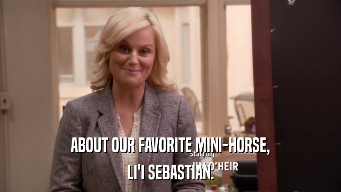 ABOUT OUR FAVORITE MINI-HORSE, LI'I SEBASTIAN. 