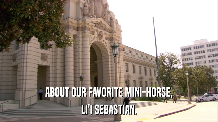 ABOUT OUR FAVORITE MINI-HORSE, LI'I SEBASTIAN. 
