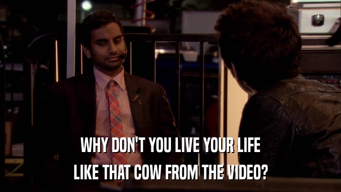 WHY DON'T YOU LIVE YOUR LIFE LIKE THAT COW FROM THE VIDEO? 