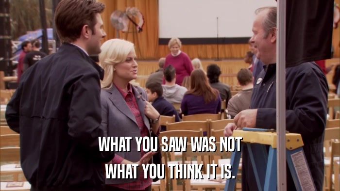 WHAT YOU SAW WAS NOT WHAT YOU THINK IT IS. 