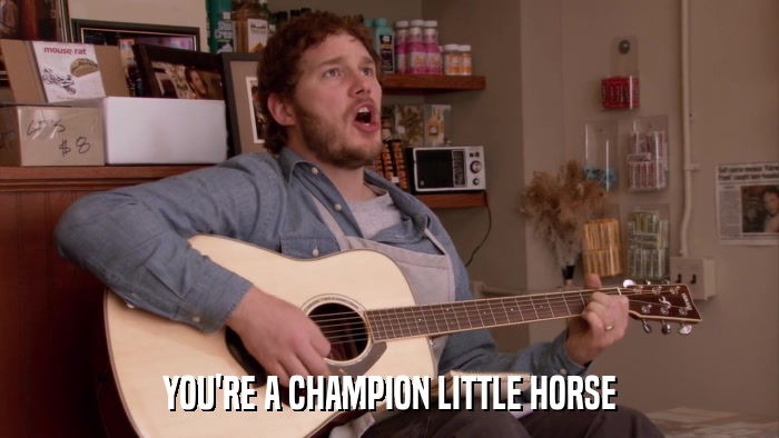 YOU'RE A CHAMPION LITTLE HORSE  